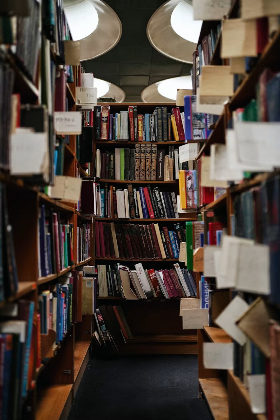 Reading-room stacks, floor to ceiling